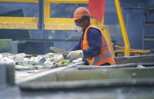 C&D Sorting Line in Onehunga